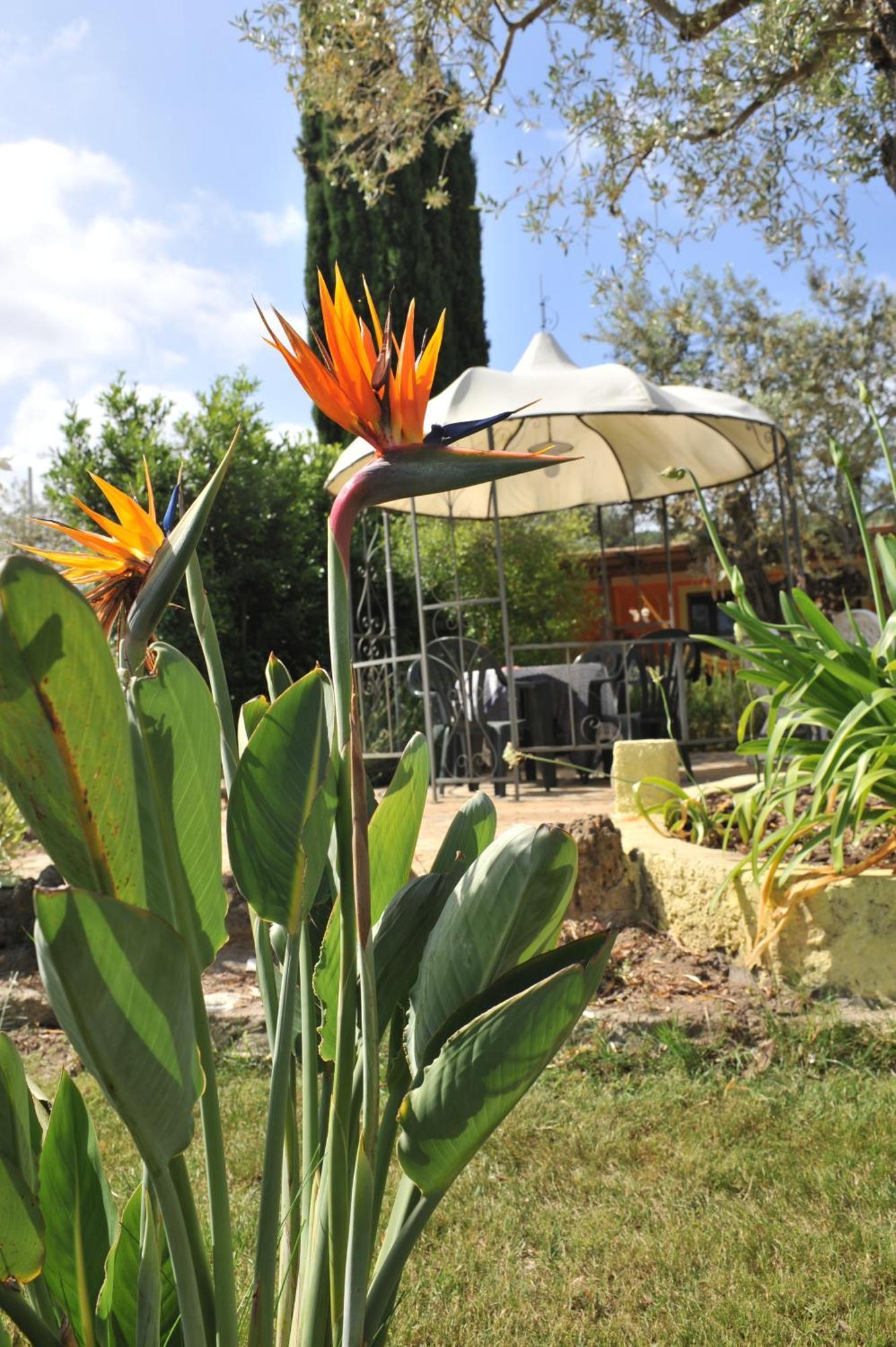 ألغيرو Butterfly House Bed & Breakfast المظهر الخارجي الصورة
